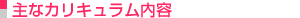主なカリキュラム内容