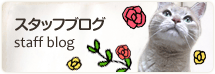 スタッフブログ